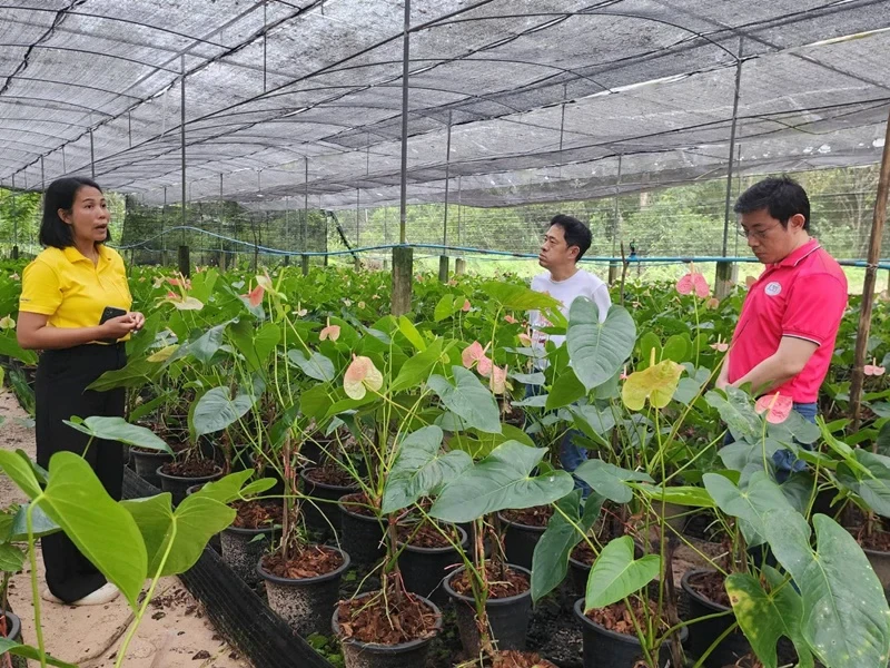 ผู้บริหารซิงเกอร์ ชมกิจกรรมและการดำเนินงานภายในโครงการพัฒนาส่วนพระองค์ ชุมพร