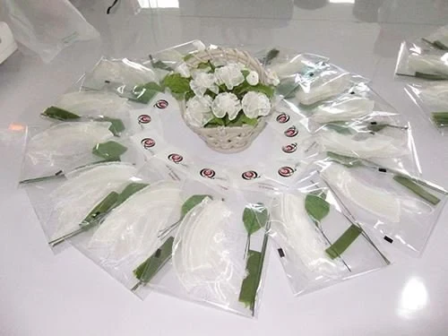 ซิงเกอร์ รำลึกพระคุณแม่